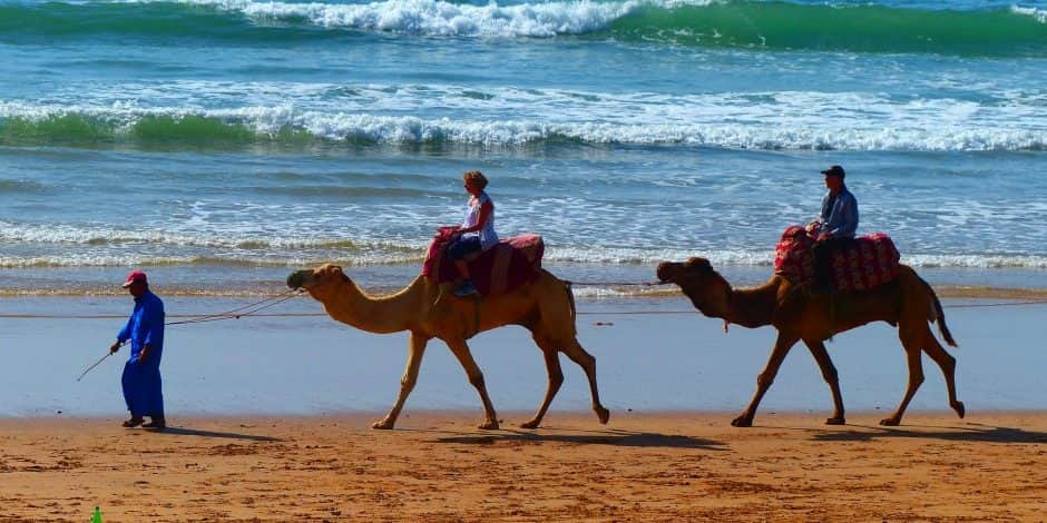 camel ride in moroccan beach