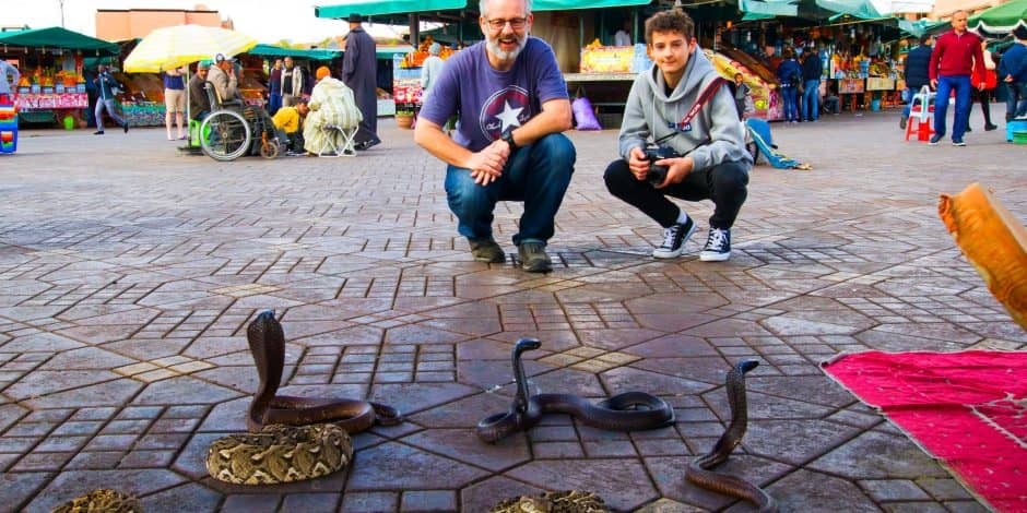 snakes in jamaa elfna square