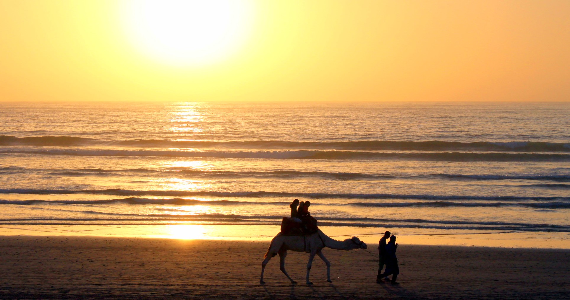 camel tour in beach