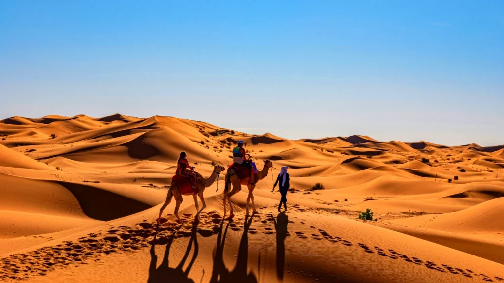 couple riding camel in morocco sahara