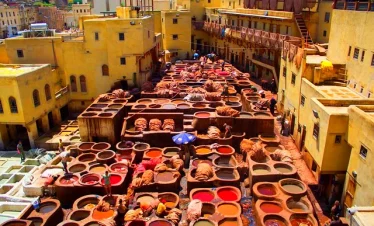 Fez tannery, Authentic Morocco Tour,