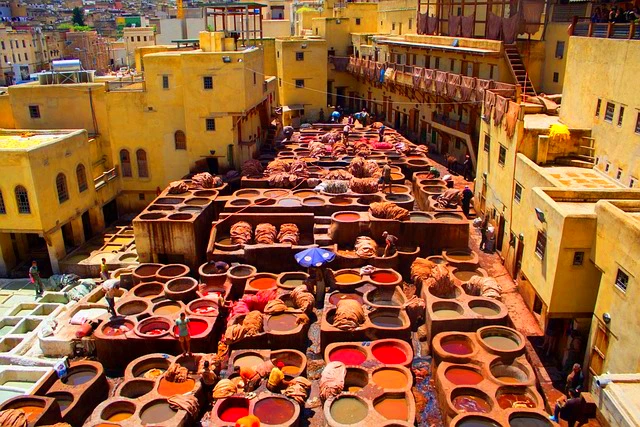 Fez tannery