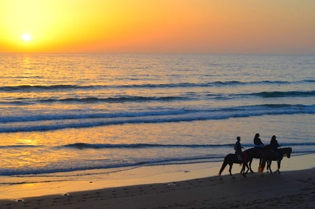 horse riding near beach