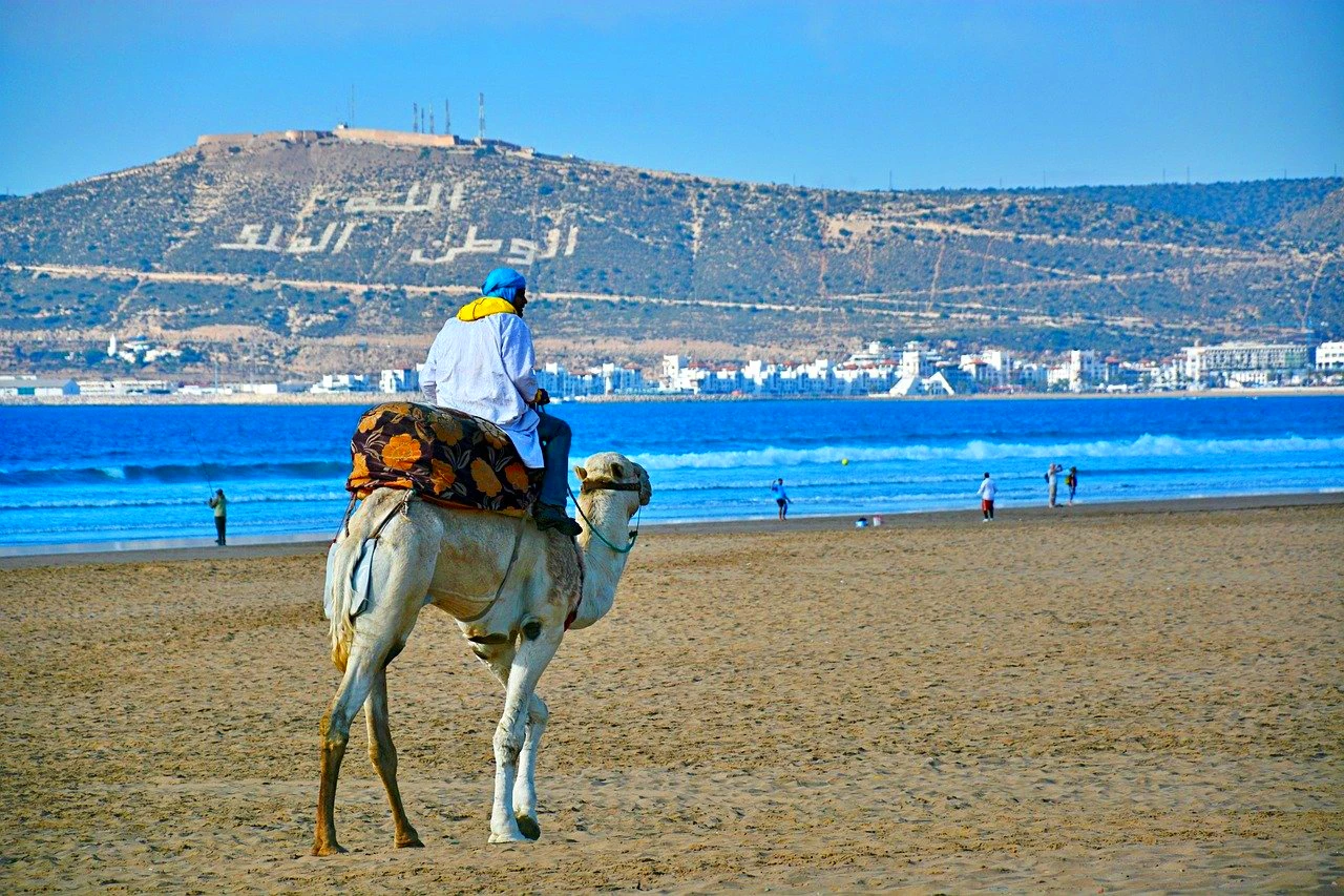 man riding camel agadir beach morocco